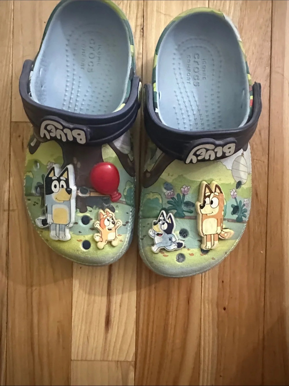 Bluey KidsGreen & Blue Lightweight Slip-On crocs size C12